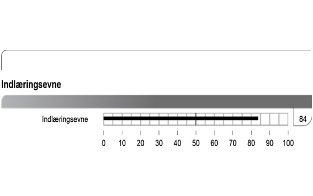 Hvilke jobs passer til de mest begavede?