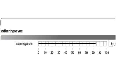 Hvilke jobs passer til de mest begavede?